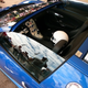 Illustration for article titled The Bugatti Veyron Really Does Sound Like Victorian Plumbing
